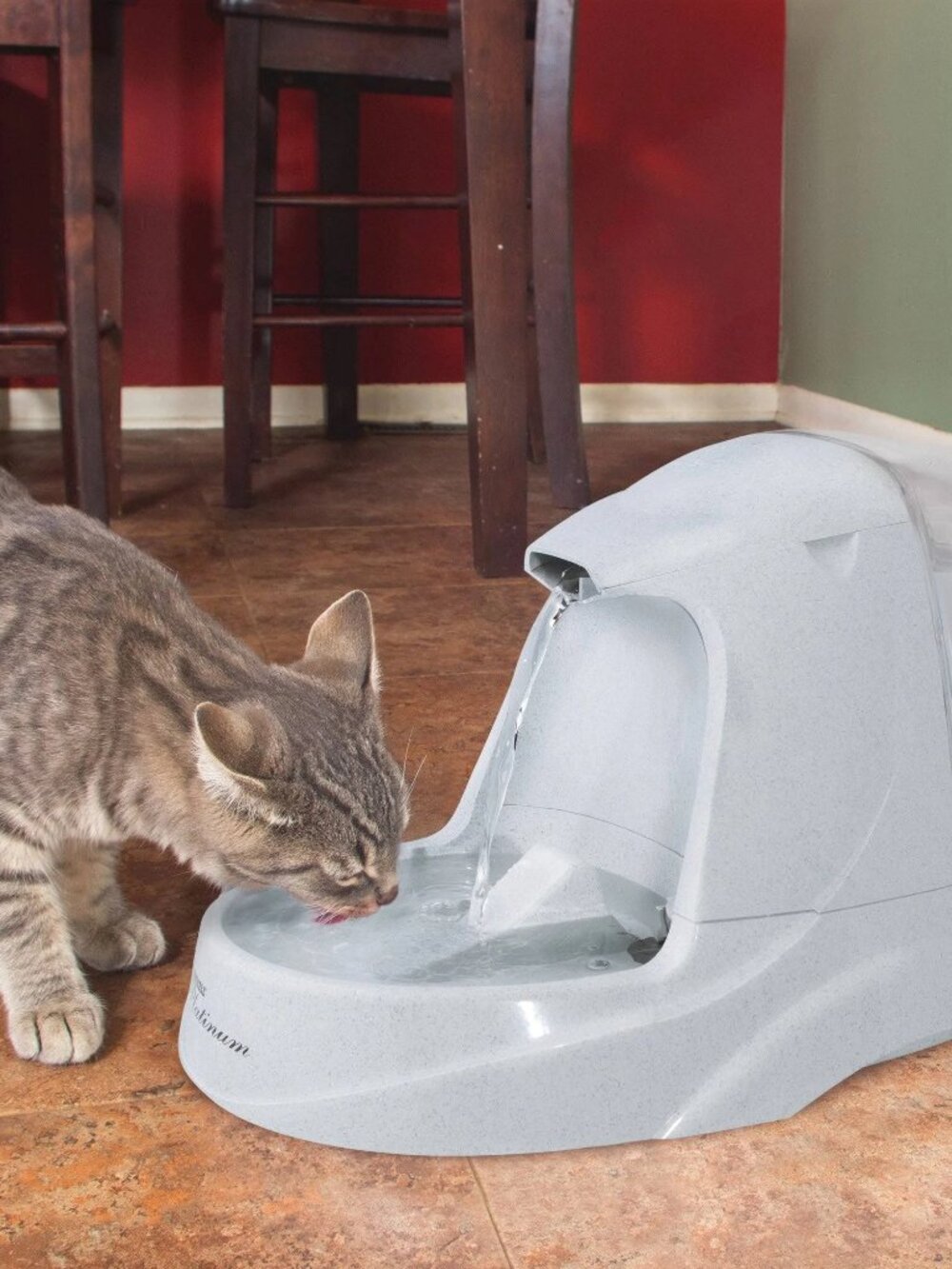 Pet Fountain by Drinkwell Platinum